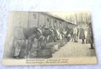 postkaart  Brasschaat Polygoon verzorging paarden, Verzamelen, Postkaarten | België, Ophalen of Verzenden