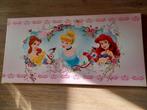 Canvas disney prinsessen, Ophalen of Verzenden, Zo goed als nieuw