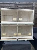 Cage d'élevage, Animaux & Accessoires, Oiseaux | Cages & Volières, Bois, Cage d'élevage, Enlèvement, Utilisé