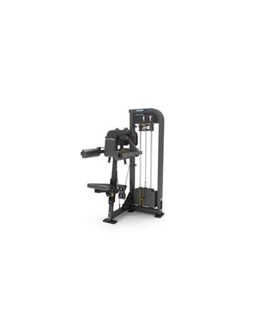P05 | Gymfit Lateral Raise | Custom-Line Plus beschikbaar voor biedingen