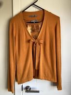 Shirt + gilet D'auvry 38/40, Kleding | Dames, T-shirts, Maat 38/40 (M), D’auvry, Geel, Ophalen of Verzenden