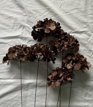 Hortensia op steel beschikbaar voor biedingen
