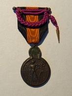 medaille IJZER, Ophalen of Verzenden, Landmacht, Lintje, Medaille of Wings