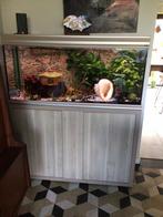 Aquarium aquatlantis met kast en buitenfilter, Dieren en Toebehoren, Ophalen, Zo goed als nieuw