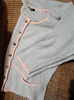 Pastel cardigan/vest XL, Kleding | Dames, Truien en Vesten, Verzenden