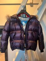 Freedomday meisjes winterjas, Kleding | Heren, Paars, Nieuw, Overige maten, Ophalen of Verzenden