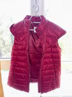 Puffer jacket dames zonder mouwen, Ophalen of Verzenden, Zo goed als nieuw, Maat 38/40 (M), Overige kleuren