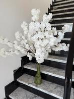 Bloesemboom te koop 50€, Huis en Inrichting, Ophalen, Nieuw