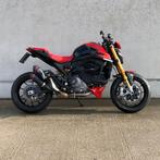 DUCATI MONSTER SP BJ 2023, Entreprise, Plus de 35 kW, 2 cylindres, Sport