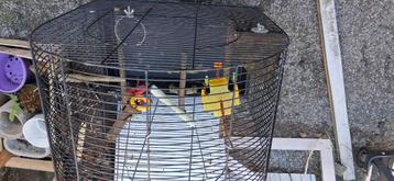 Vogel kooi, Dieren en Toebehoren, Ophalen, Gebruikt