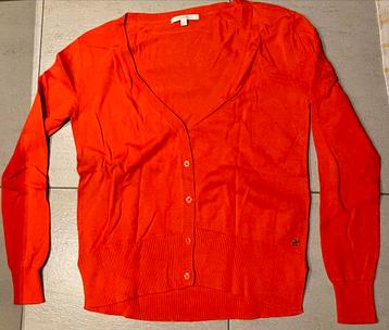 Tom Taylor zeer mooi, elegant fijngebreid oranje gilet XS beschikbaar voor biedingen
