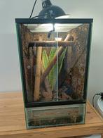 Verschillende maten terraria en andere benodigdheden, Ophalen, Gebruikt, Terrarium of Paludarium