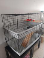 Cage pour 2 rongeurs, 90 cm of meer, Kooi, Fret, 75 tot 110 cm