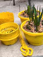 Bloempotjes voor Pasen, gratis enkel bij aankoop Paasgerief, Enlèvement