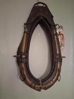 Te koop, Dieren en Toebehoren, Ophalen