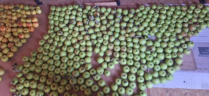 Grany smith appels, Diversen, Levensmiddelen, Ophalen