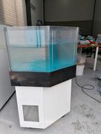 Homarium L120 H109, BR 59.5cm, werkt perfect, Animaux & Accessoires, Poissons | Aquariums & Accessoires, Enlèvement, Comme neuf