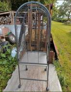 Cage pour oiseaux ou autres, Enlèvement