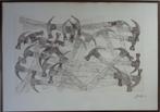 ARMAN FERNANDEZ / HAMERS / ZW-W ETS / 64x92cm / KADER / SIG, Ophalen