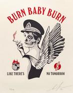 Shepard Fairey: Burn Bay Burn, Antiek en Kunst, Kunst | Litho's en Zeefdrukken, Ophalen of Verzenden