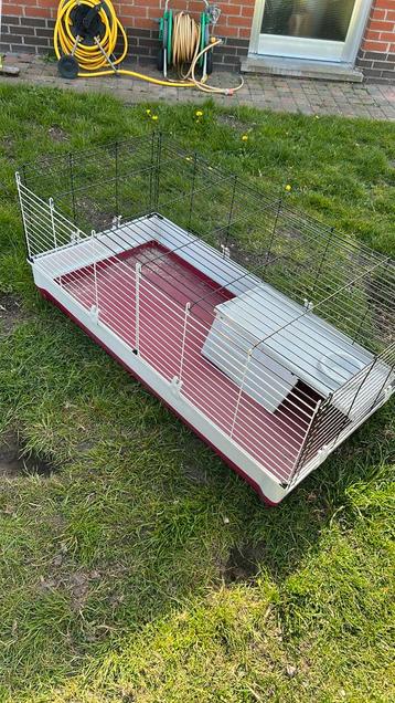 Hok voor knaagdieren, Dieren en Toebehoren, Hamster, Hok, Ophalen, Minder dan 60 cm