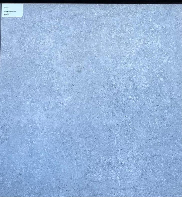 Carrelage de terrasse 2cm 80x80, Jardin & Terrasse, Terrasses, Neuf, Autres matériaux, Enlèvement