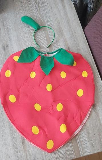 Verkleedkledij voor peuter/kleuter Aardbei en Mickey Mouse  beschikbaar voor biedingen