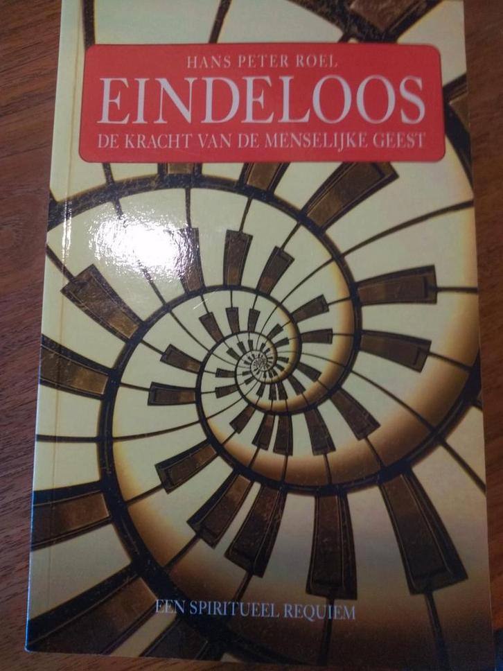 Hans Peter Roel - Eindeloos, Boeken, Romans, Ophalen