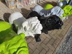 Engelse bulldog H75cm,, Nieuw, Ophalen