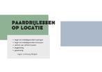 paardrijlessen, Dieren en Toebehoren, Paarden