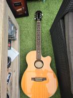 Epiphone pr 4e na, Muziek en Instrumenten, Snaarinstrumenten | Gitaren | Akoestisch, Ophalen of Verzenden, Gebruikt