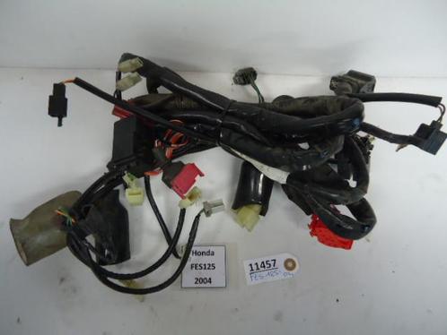 FES125 Pantheon 1997 - 2006 Honda Kabelboom D1-16763, Motoren, Onderdelen | Honda