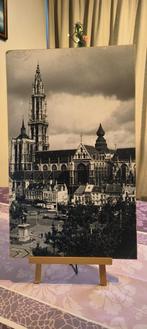 Oude zwart/wit foto van Kathedraal van Antwerpen, Ophalen, Gebruikt, Gebouw, Foto