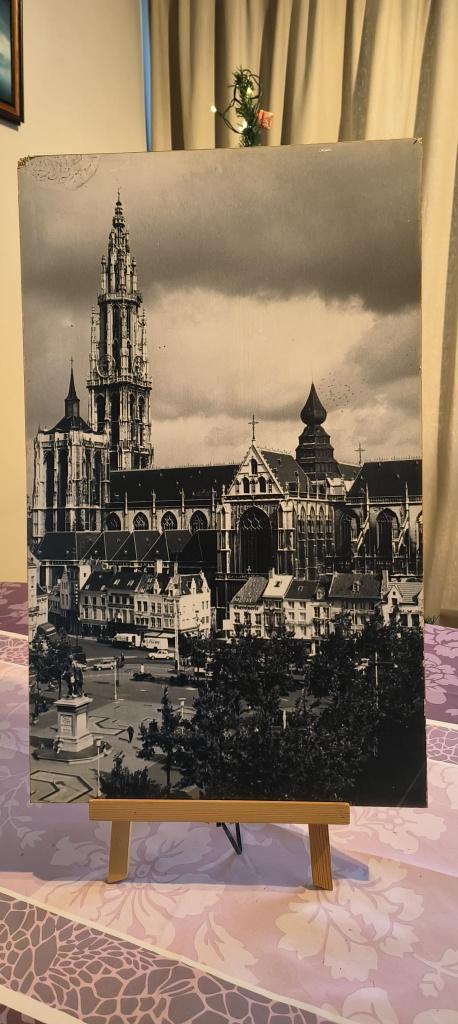 Oude zwart/wit foto van Kathedraal van Antwerpen, Verzamelen, Foto's en Prenten, Gebruikt, Foto, Gebouw, Ophalen