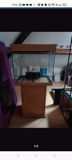 Aquarium Juwel Lido 120, Dieren en Toebehoren, Ophalen