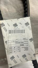 Vespa Et4, Sfera125, Lx125, gts125 | V-snaar | Piaggio New, Fietsen en Brommers, Piaggio, Piag, Overige typen, Piag