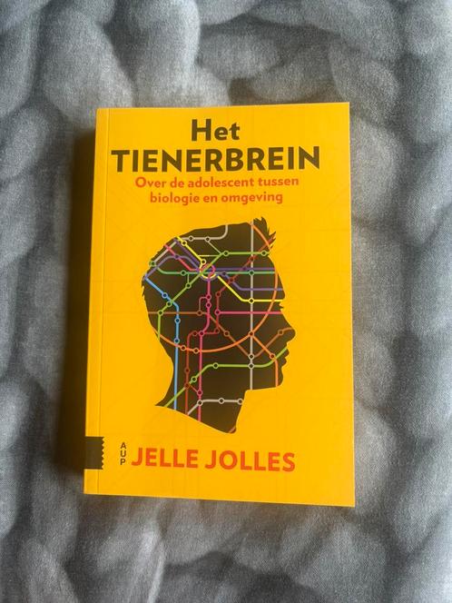 Jelle Jolles - Het tienerbrein, Boeken, Psychologie, Zo goed als nieuw, Ophalen of Verzenden