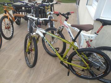 Kona muni mula taille M  beschikbaar voor biedingen