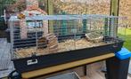 Konijnenhok, Ophalen, Kooi, 60 tot 90 cm, Konijn