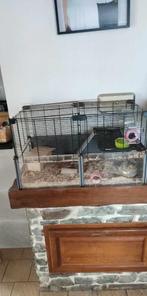 Cage hamster, Dieren en Toebehoren, Kooi, Ophalen of Verzenden, Hamster