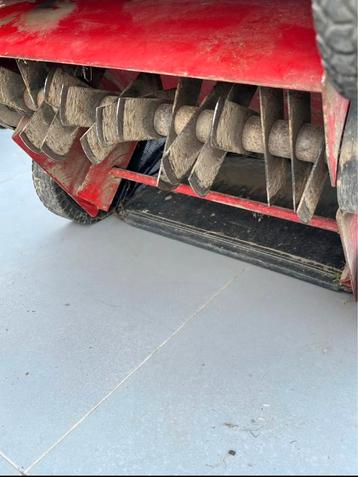 Tuinfrees in perfecte staat beschikbaar voor biedingen