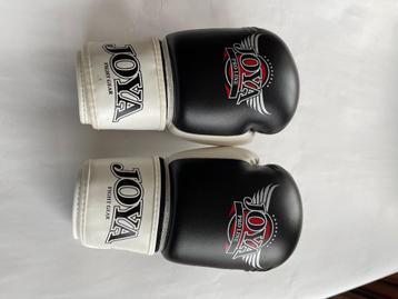 Kids (kick)bokshandschoenen mt 8OZ (en toebehoren) beschikbaar voor biedingen