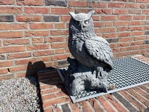 Uil ,58cm hoog, Tuin en Terras, Tuinbeelden, Nieuw, Dierenbeeld, Beton, Ophalen