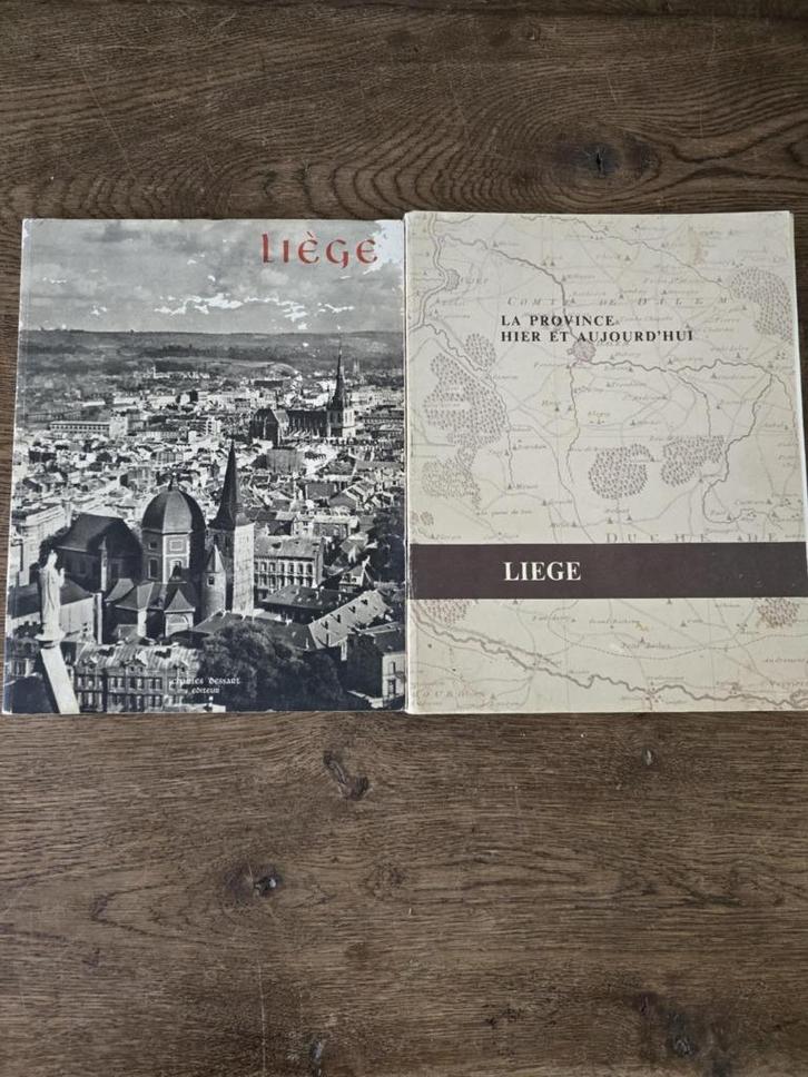 LUIK — boeken over de provincie en de stad, Boeken, Geschiedenis | Nationaal, Ophalen of Verzenden