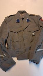 BELGIQUE - CAPORAL 6 Bn TTr - 1969, Ophalen of Verzenden, Landmacht, Kleding of Schoenen