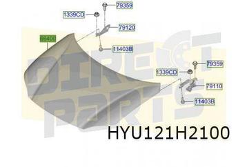 Hyundai Ioniq 6 (3/23) Motorkap Origineel! 66400KL000 beschikbaar voor biedingen