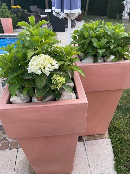 NIEUWE kunststof plantenbak BLOEMBAK compleet met Hortensia, Tuin en Terras, Bloempotten, Zo goed als nieuw, Kunststof, Balkon