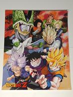 Dragon Ball Z plastic folie poster 40X50, Ophalen of Verzenden, Zo goed als nieuw