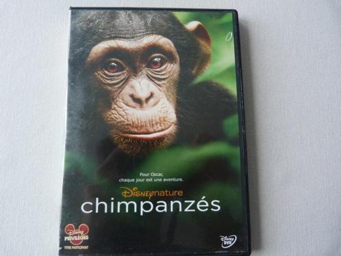 Chimpanzés (Chimpanzee) [DVD], CD & DVD, DVD | Documentaires & Films pédagogiques, Utilisé, Nature, Tous les âges, Enlèvement ou Envoi
