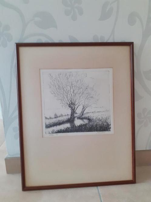 Ets - Wilgen, Antiek en Kunst, Kunst | Etsen en Gravures, Ophalen of Verzenden
